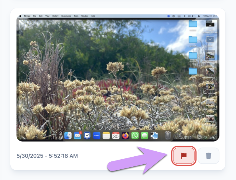 Click the flag icon to mark an item as flagged