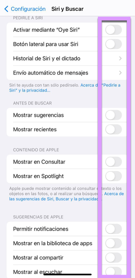 Bloquear un iPhone: deshabilite todas las integraciones del sistema Siri por seguridad