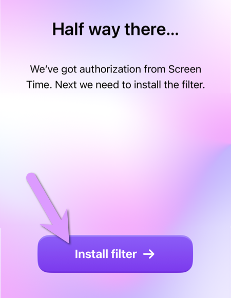 Almost there, click 'Install Filter'